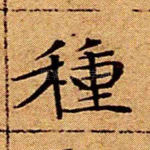 种