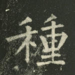 种