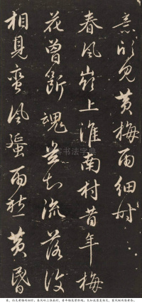 梅花诗 - 第7页