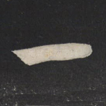 一