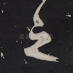 之
