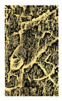 褒斜道刻石 - 第26页