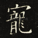 宠