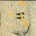 阴