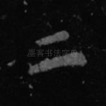二