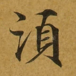 须