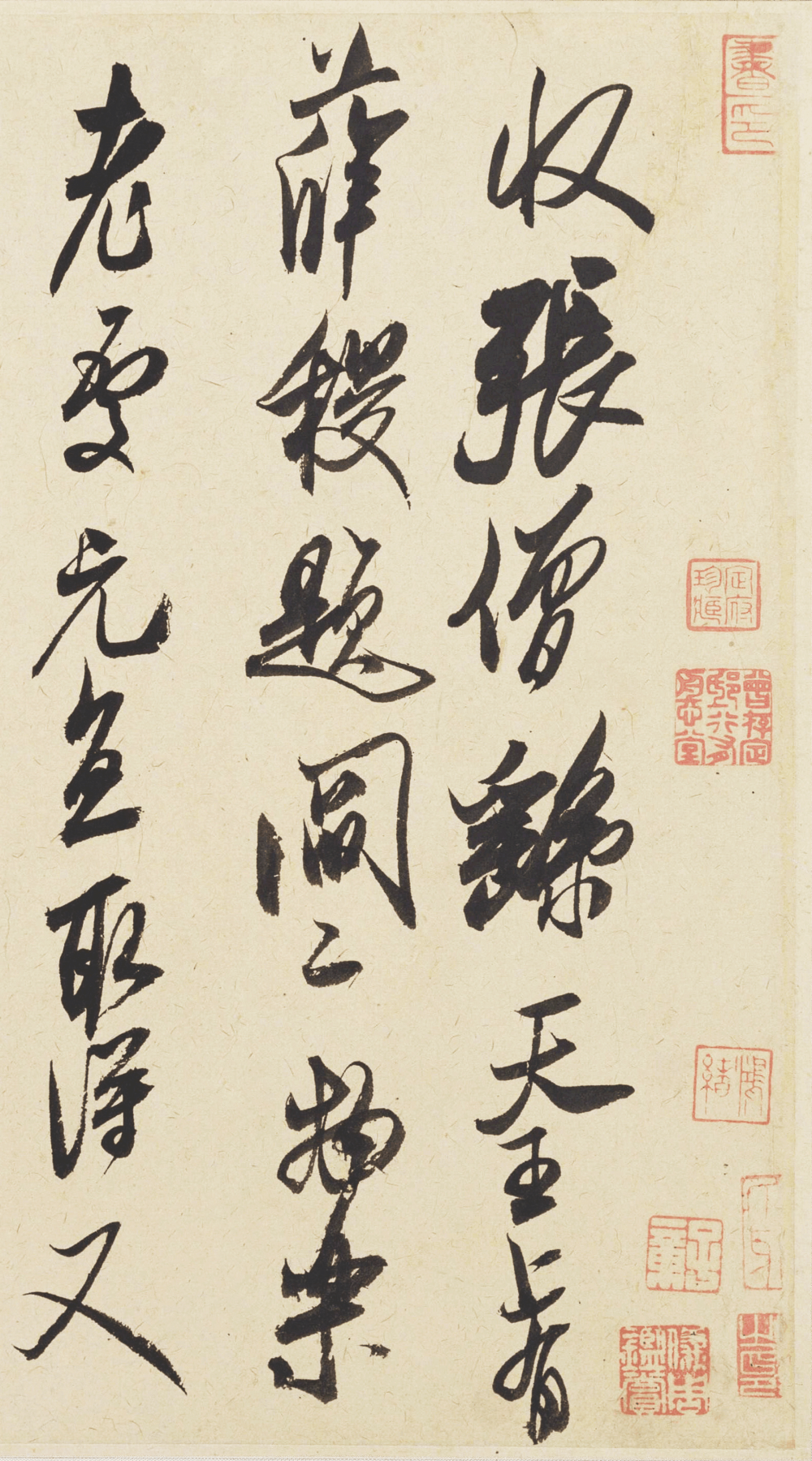 珊瑚帖 - 第1页