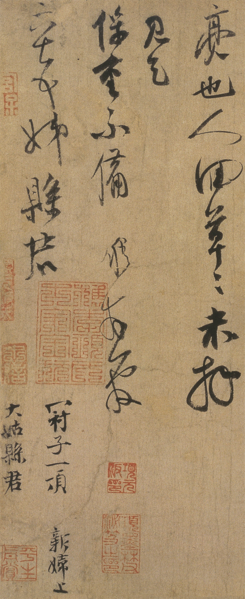 致六十五姊县君 - 第3页
