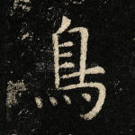 鸟
