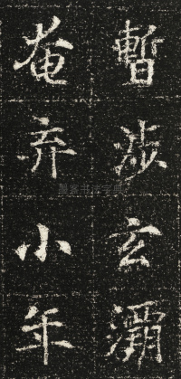 张君第五息墓志 - 第42页