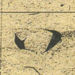 八