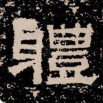 体