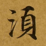 须