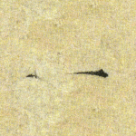 一