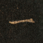 一