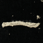 一