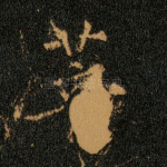 菩