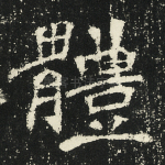 体
