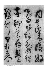 郑修容有事 - 第14页