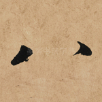 八