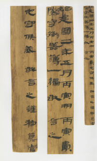 肩水金关前汉简 - 第10页