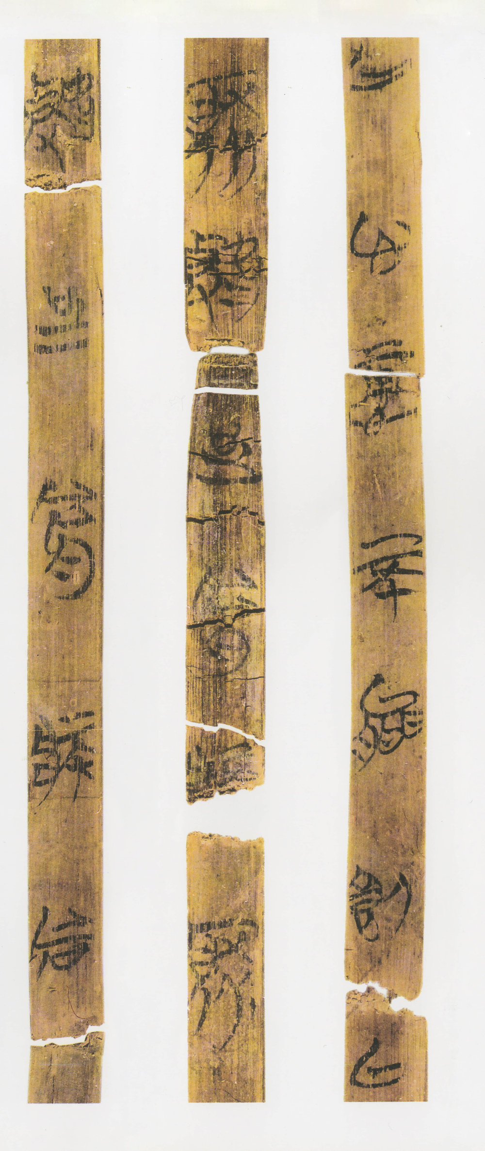 望山楚简 - 第4页