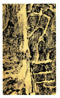 褒斜道刻石 - 第32页