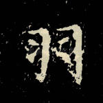 羽