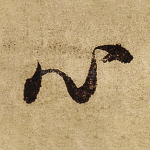 心