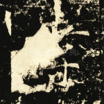 孝