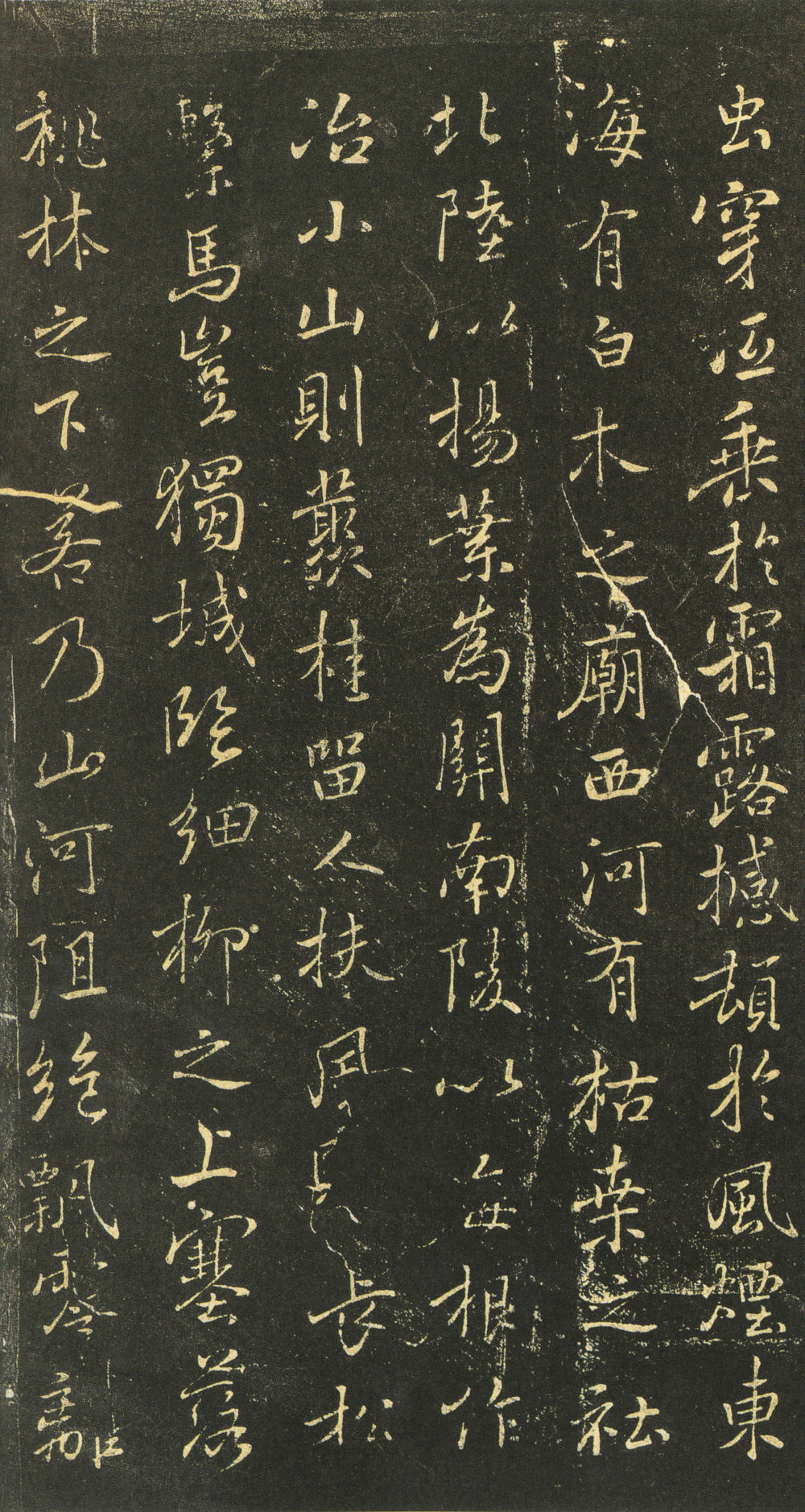 枯树赋褚遂良 - 第4页