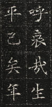 张君第五息墓志 - 第20页