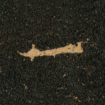 一