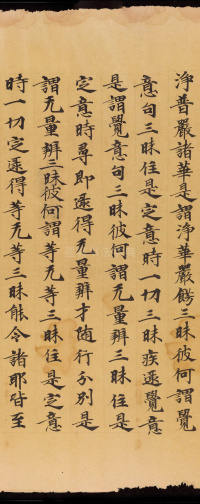 般若波罗蜜三昧品 - 第31页