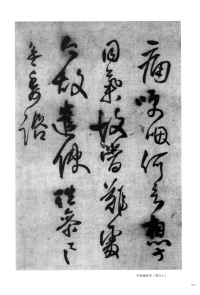 郑修容有事 - 第7页