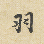 羽