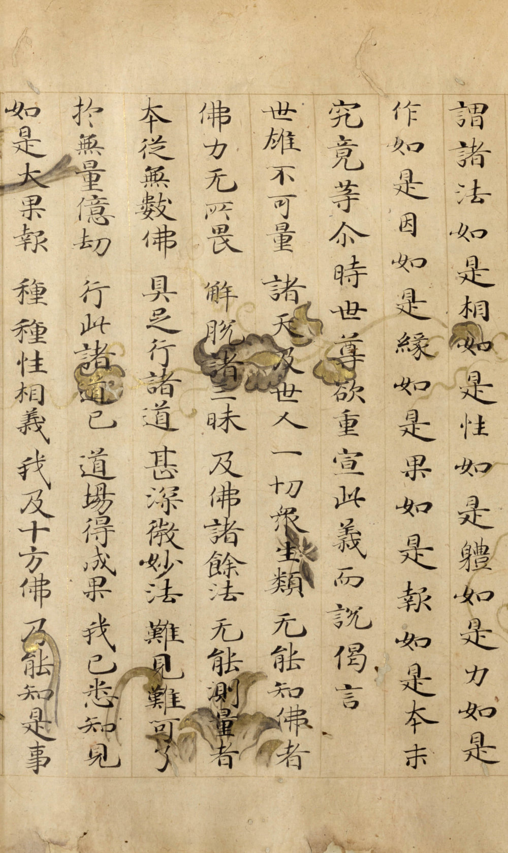 法华经方便品 - 第3页