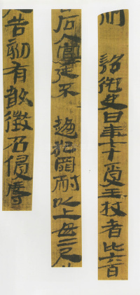 武威后汉简 - 第8页