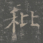 秕