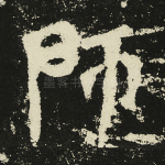 师