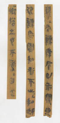 云梦睡虎地秦简 - 第43页