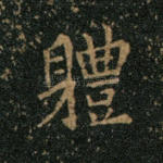 体