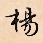 杨