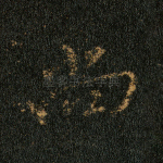 尚