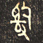 司