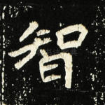 智
