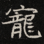 宠
