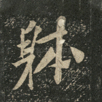 体