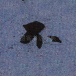 不