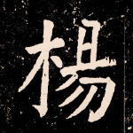杨